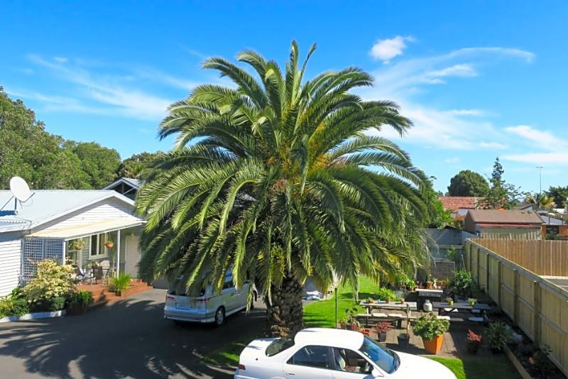 Roselands Motel Tauranga Eksteriør billede